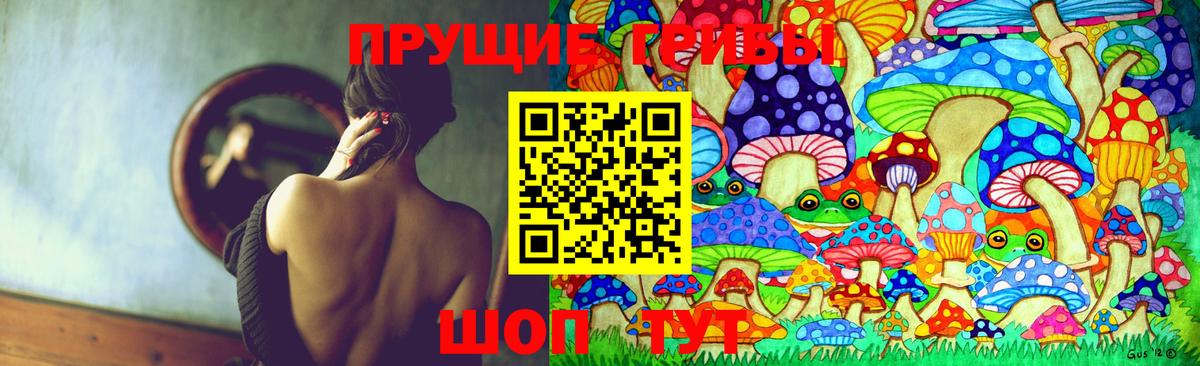 Галлюциногенные грибы Psilocybe  Псилоцибиновые грибы ЛСД  Вход с VPN  Касимов 